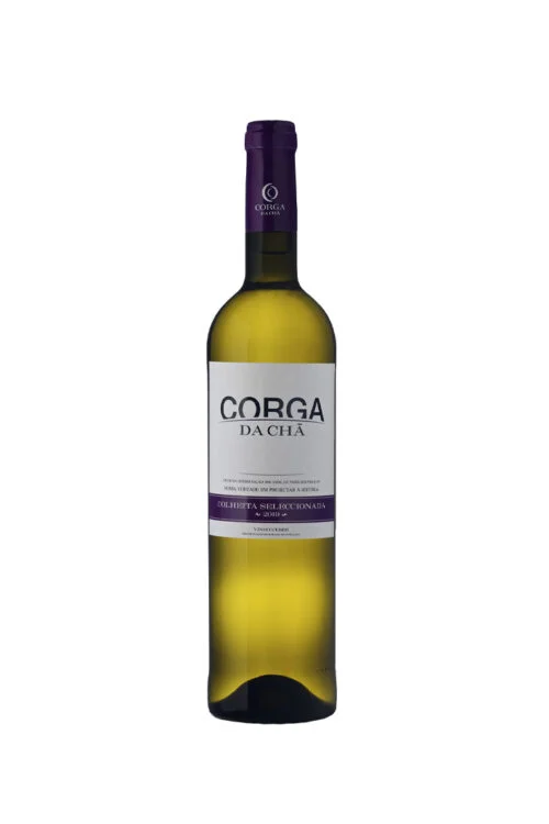Corga da Chã White